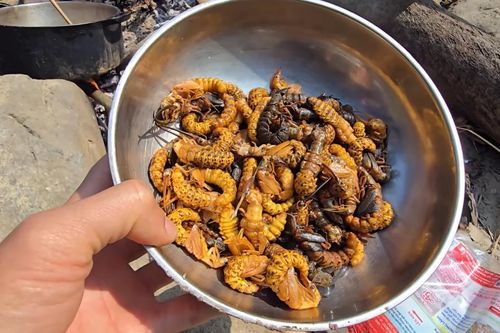 Đặc sản Tây Bắc nhìn kỳ dị, thực khách 'sợ phát khóc' nhưng ăn lại nức nở khen