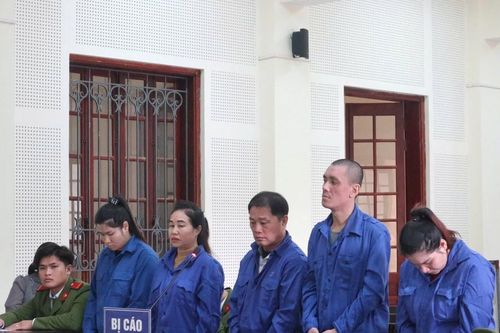 Ngụy trang ma túy trong túi dưa chuột