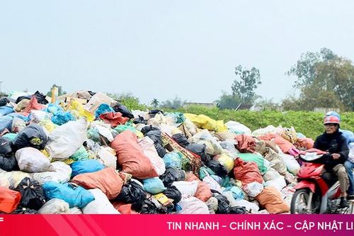 Rác thải chất đống trên tuyến đê La Giang