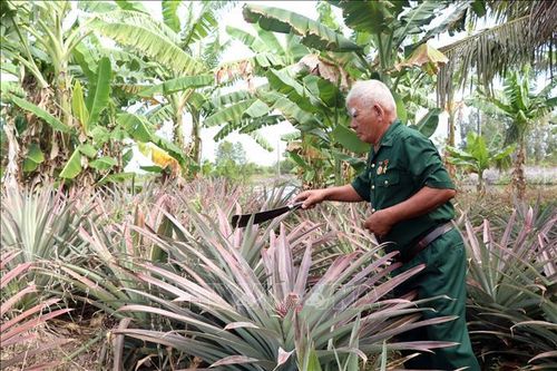 Phát huy phẩm chất 'Bộ đội Cụ Hồ' trong thời bình