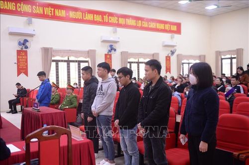 Phạt tù nhóm 'thổi giá' 30 tỷ đồng/m2 đất đấu giá ở Sóc Sơn (Hà Nội)