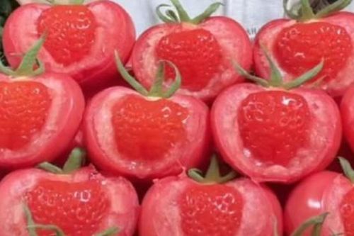 Nóng nhất trong ngày: Giá vàng tiếp tục tăng vọt; Xuất hiện loại cà chua có dâu tây trong ruột