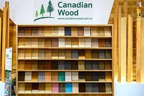 Canadian Wood Việt Nam tăng cường kết nối thông qua các triển lãm uy tín