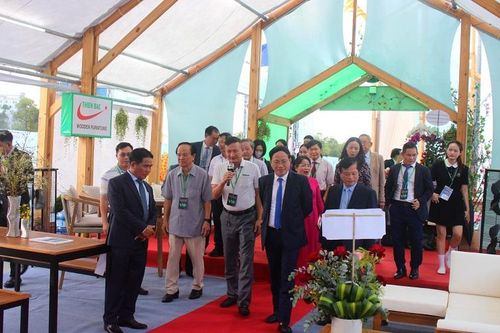Ngành gỗ ngoại thất ghi dấu tại thủ phủ gỗ Bình Định
