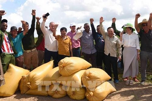 Điểm sáng trong quan hệ hợp tác nông nghiệp Việt Nam - Cuba