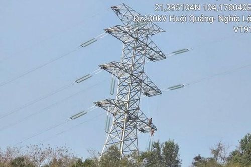 Tập trung nguồn lực đẩy nhanh tiến độ Dự án đường dây 220kV Huội Quảng – Nghĩa Lộ - Việt Trì