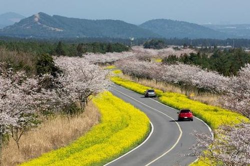 Hàn Quốc nâng tầm trải nghiệm cho du khách Việt trong năm 2025