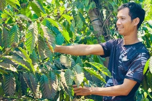 Chàng trai Jrai trồng cây gì, nuôi con gì mà kiếm gần nửa tỷ đồng/năm?