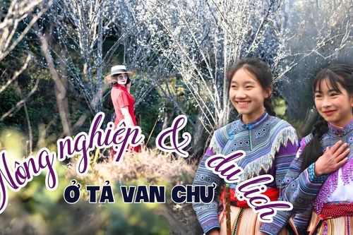 Nông nghiệp kết hợp du lịch ở Tả Van Chư