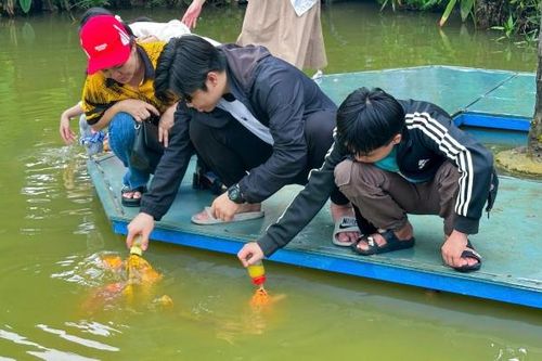 Khám phá khu du lịch sinh thái độc đáo với trải nghiệm cá bú bình