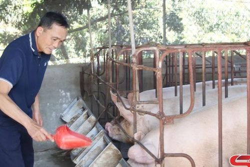 Làm giàu từ mô hình kinh tế tổng hợp