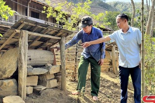 Hỗ trợ hội viên phát triển kinh tế