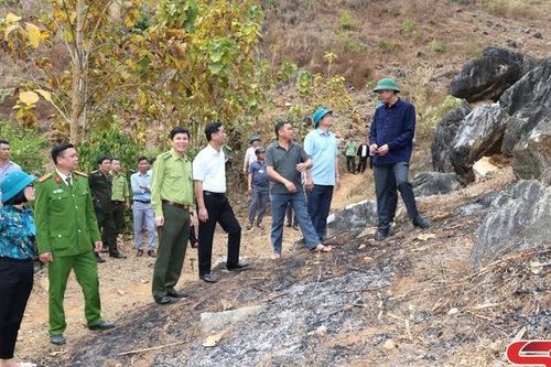 Đồng chí Phó Chủ tịch UBND tỉnh kiểm tra, chỉ đạo công tác phòng cháy, chữa cháy rừng ở Thuận Châu