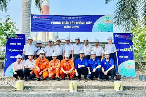 Nhiệt điện Cần Thơ hoàn thành kế hoạch trồng 500 cây xanh giai đoạn 2021- 2025