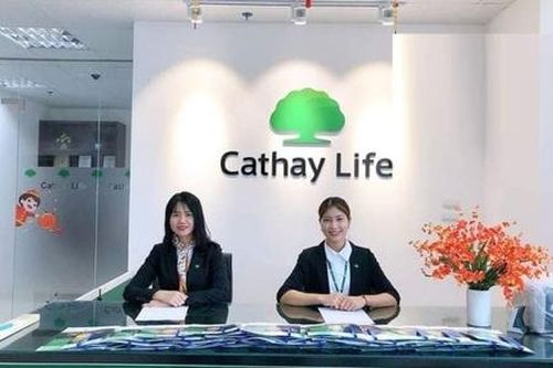 Phát hiện sai phạm bán bảo hiểm qua ngân hàng tại Mirae Asset Prévoir và Cathay Việt Nam