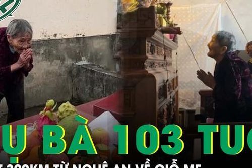 Xúc động bà cụ 103 tuổi mắt mờ chân run vượt 300km về thắp hương ngày giỗ mẹ
