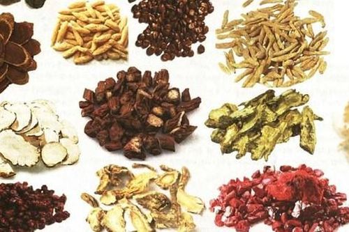 4 bài thuốc trị mất ngủ hiệu quả