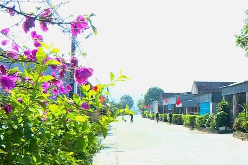 Xây dựng nông thôn mới 'không có điểm dừng'