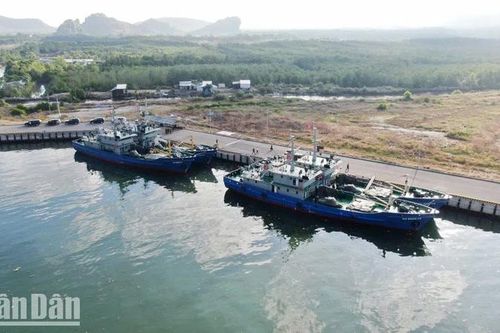 Kiên Giang tiếp nhận 4 tàu dịch vụ hậu cần cho Hải đội dân quân thường trực
