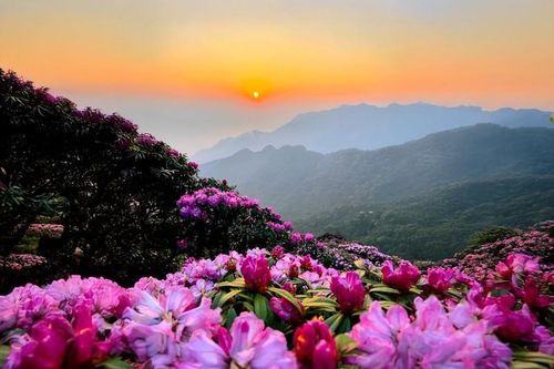 Trekker lên đường chinh phục đỉnh Putaleng, săn 'nữ hoàng hoa Tây Bắc'