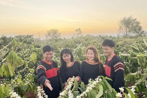 Người dân Đắk Lắk đón niềm vui lớn trước thềm Lễ hội cà phê