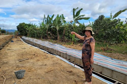 Người dân đồng lòng hiến đất làm đường nông thôn mới