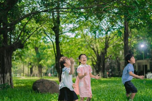 Môi trường sống tác động đến chỉ số phát triển toàn diện của con người ra sao?