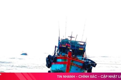 2 tàu cá của ngư dân Hà Tĩnh gặp nạn ở khu vực đảo Lý Sơn