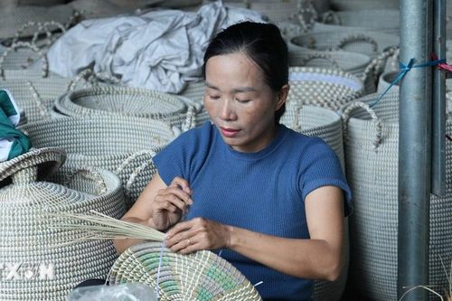 Nghệ An: Người đưa sản phẩm cói truyền thống vươn ra thị trường thế giới