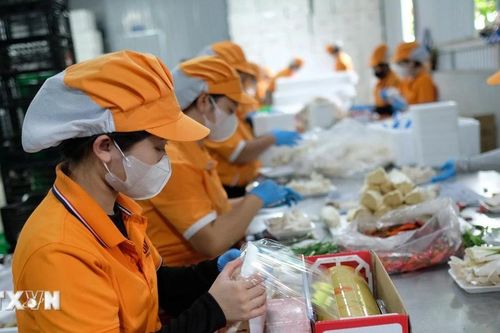 Các 'nữ tướng' của tỉnh Lâm Đồng đưa nông sản 'xuất ngoại'