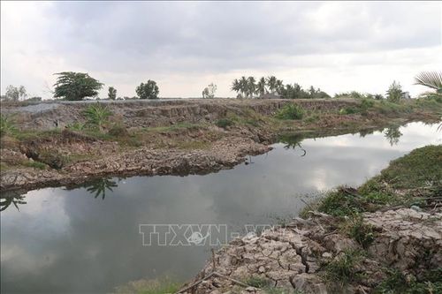 Kịp thời đưa ra giải pháp phù hợp phòng chống hạn, mặn trong mùa khô