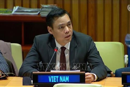 Việt Nam cam kết ủng hộ nỗ lực giải trừ vũ khí hạt nhân toàn cầu