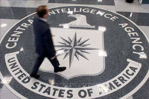 CIA sa thải nhân viên mới được tuyển dụng