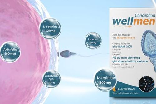 Wellmen Conception - giải pháp nâng cao sức khỏe sinh sản nam giới tự nhiên và hiệu quả