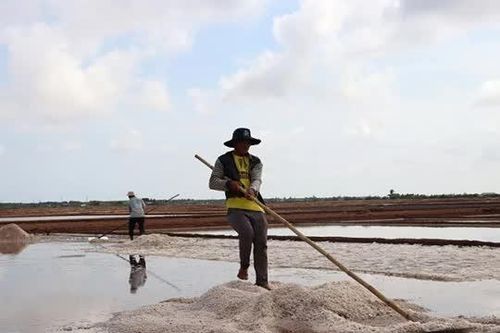 Chủ tịch tỉnh Bạc Liêu: Đa dạng hóa sản phẩm, đưa muối Việt Nam vươn xa hơn nữa