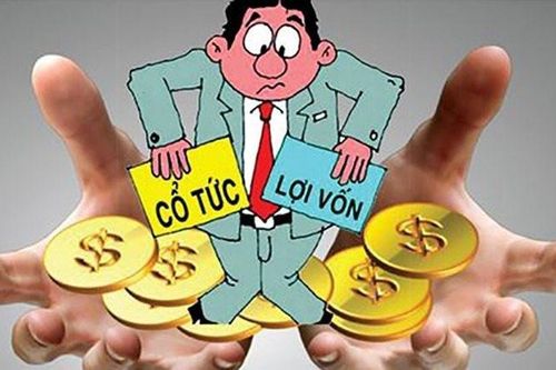 Ngân hàng 'hâm nóng' mùa đại hội cổ đông, đua nhau chia cổ tức tỷ lệ cao