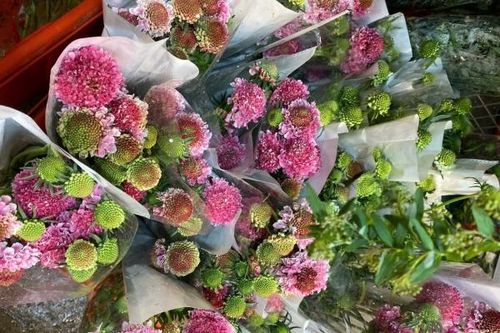 Nhiều mẫu hoa độc lạ thu hút khách dịp lễ 8/3