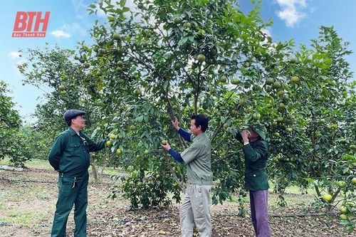 Cẩm Thủy giải 'bài toán' tích tụ, tập trung đất đai cho sản xuất nông nghiệp