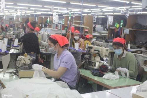 Vẫn còn nhiều doanh nghiệp dừng hoạt động