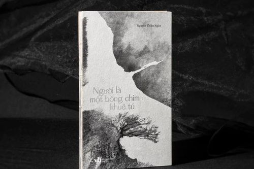 Nguyễn Thiên Ngân: Người là một bóng chim khuê tú