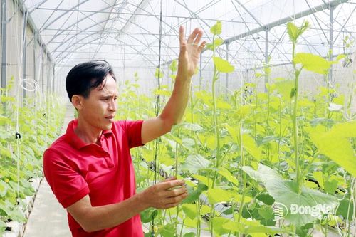 Giỏi làm vườn, nhạy bén trong chuyển đổi kinh tế