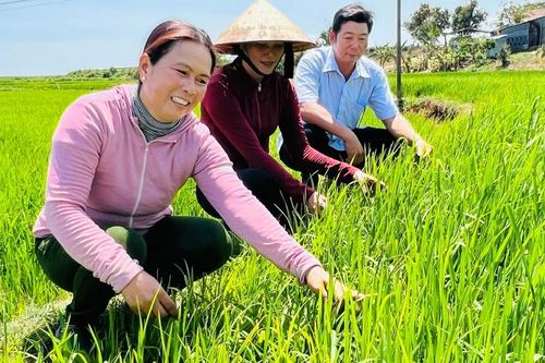 Phụ nữ Jrai vượt khó làm giàu