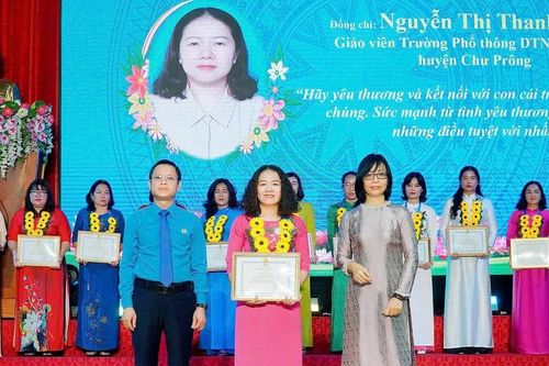 Gia Lai tuyên dương 80 phụ nữ 'Giỏi việc nước, đảm việc nhà'