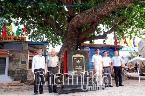 Để Bích Đầm trở thành điểm du lịch cộng đồng hấp dẫn