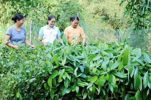 Chương trình mục tiêu quốc gia: Nhiều cách làm hay từ cơ sở