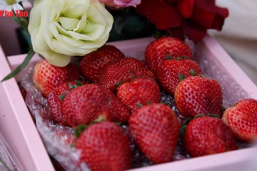 Ngập tràn sắc hoa, quà tặng độc đáo ngày 8/3