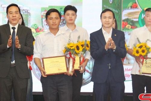 Hỗ trợ HTX phát triển bền vững