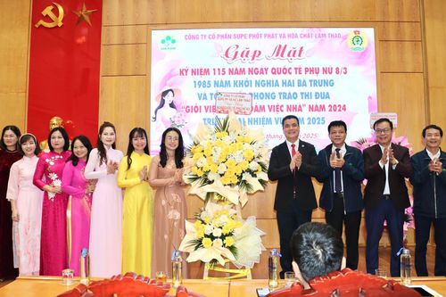 Supe Lâm Thao tổng kết phong trào thi đua 'Giỏi việc nước, đảm việc nhà' năm 2024