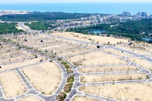 Bình Định xin ý kiến Bộ Công an thu hồi gần 450ha đất của nhà đầu tư Trung Quốc