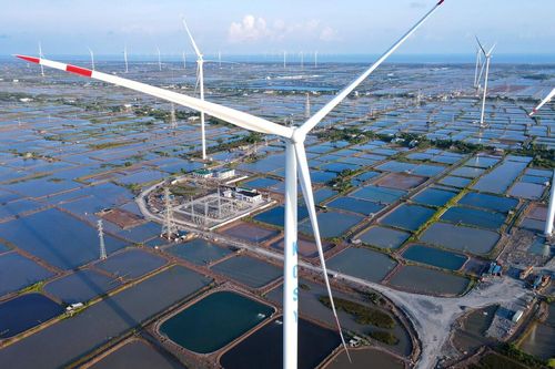 Bạc Liêu thu hút 10 dự án điện gió quy mô 19.800 tỷ đồng